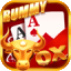 rummy video